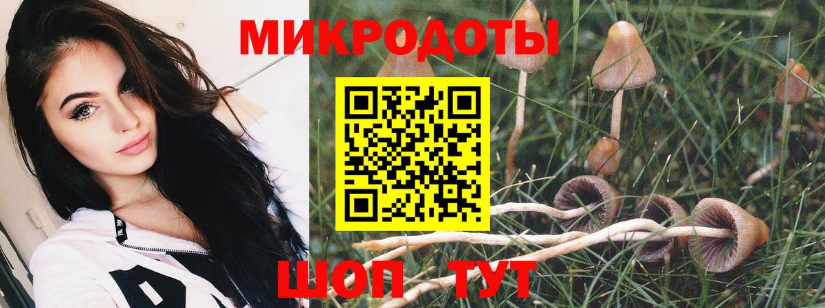Псилоцибиновые грибы ЛСД Владикавказ